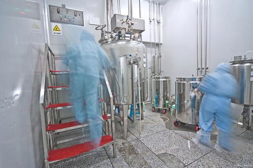 遼寧樂(lè)金建設(shè) 寧安市食品工廠凈化裝修中加藥泵的關(guān)鍵作用與技術(shù)要點(diǎn)